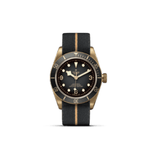 Black Bay Bronze